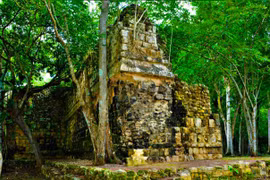 Bí mật 1.400 năm vừa được phát hiện trong rừng rậm