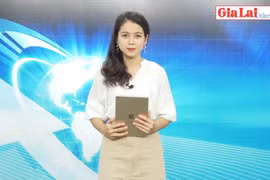 Gia Lai 48h: Đẩy mạnh kích cầu tiêu dùng cuối năm