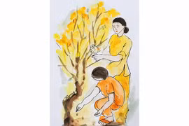 Mai vàng trước ngõ