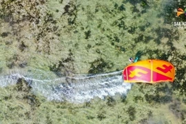 Ninh Thuận: Đặc sắc Festival lướt ván diều năm 2019