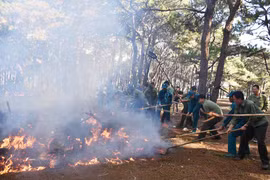 Phòng-chống cháy rừng trên địa bàn Gia Lai: "Nước xa không cứu được lửa gần"