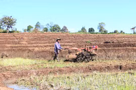Chư Sê: Chủ động phòng tránh hạn cuối vụ cho lúa Đông Xuân