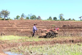 Chư Sê: Chủ động phòng tránh hạn cuối vụ cho lúa Đông Xuân