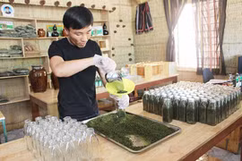 Khởi nghiệp từ... muối