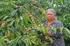 Nữ cựu chiến binh chiến thắng đói nghèo