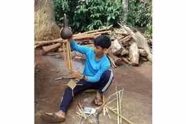 Khởi nghiệp từ... bầu hồ lô
