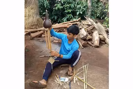 Khởi nghiệp từ... bầu hồ lô