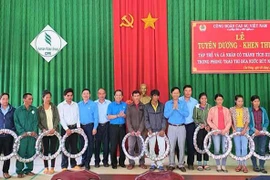 Công đoàn Cao su Việt Nam: Khen thưởng 32 tập thể, cá nhân