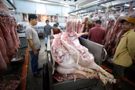 Heo nhập lậu gia tăng vào Việt Nam