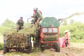 Ia Phang: Điểm sáng phát triển kinh tế-xã hội