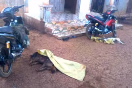 Bị dân làng vây bắt, 4 tên trộm chó nổ súng tẩu thoát