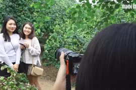 Đắm chìm trong vẻ đẹp cuốn hút của vườn táo hơn 60 năm tuổi