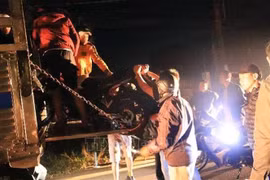 Mật phục, 'quăng lưới' nhóm 'quái xế' gây náo loạn thành phố Bảo Lộc