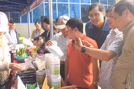 Phiên chợ nông sản an toàn huyện Đak Đoa