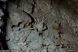 Nữ hoàng Maya lộ diện trong mộ cổ dưới lòng đất