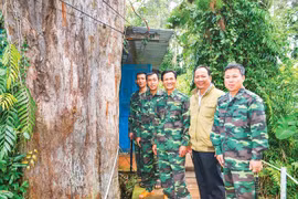 Vén màn bí ẩn Thủy tùng