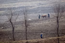 10 triệu người TriềuTiên đối mặt nguy cơ thiếu lương thực sau vụmùa thất bát