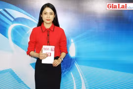 Gia Lai 48h: Hướng mới cho nông nghiệp Gia Lai