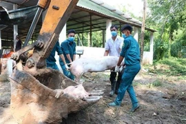 'Ngành nông nghiệp thiếu vắng các kế hoạch thích ứng trong dài hạn'