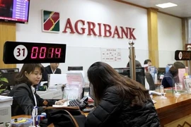 Agribank CN Bắc Đắk Lắk:Bổ nhiệm 2 cán bộ"thần tốc" 3 lần trong 1 năm