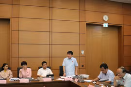 ĐBQH tỉnh Gia Lai thảo luận về Dự thảo Bộ Luật Lao động sửa đổi