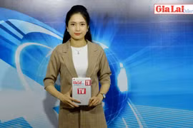 Gia Lai 48h: Triển khai các biện pháp tăng thu ngân sách