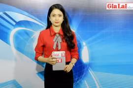 Hàng trăm cây thông ở Gia Lai bị "bức tử"