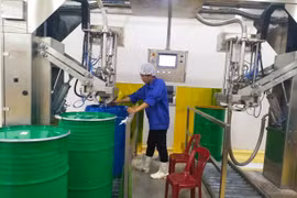 Mũi nhọn cho ngành rau quả Tây Nguyên