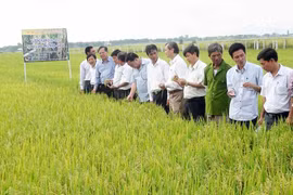 Phú Thiện đẩy mạnh học tập và làm theo gương Bác