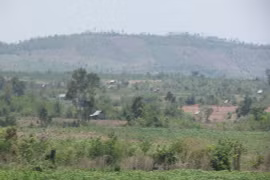 Đóng cửa, rừng vẫn bị phá