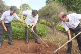 Chư Pah: Phát động "Tết trồng cây đời đời nhớ ơn Bác Hồ"