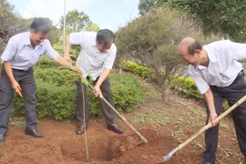 Chư Pah: Phát động "Tết trồng cây đời đời nhớ ơn Bác Hồ"
