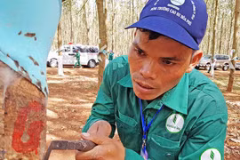 Rơ Chăm Chyur: Công nhân cao su ưu tú