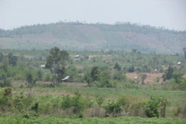 Đóng cửa, rừng vẫn bị phá