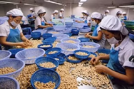 Gia Lai: Tháo gỡ khó khăn cho sản xuất kinh doanh