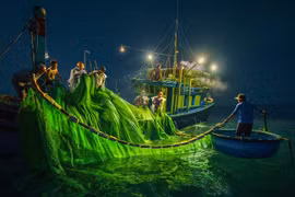 Hành trình 'săn' ảnh mùa cá cơm ở Phú Yên