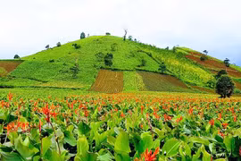 Chư Đăng Ya mùa này