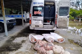 Xe khách chở 5 bao thịt thối bị phát hiện