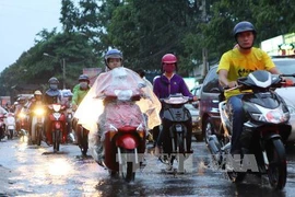 Cuối tuần Trung Bộ, Tây Nguyên và Nam Bộ có mưa dông