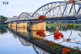 Huế- thành phố của những sắc hoa