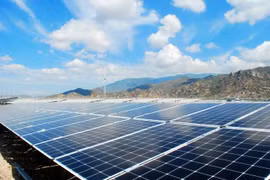 Điện mặt trời 'nở rộ': Các doanh nghiệp lãi bao nhiêu?