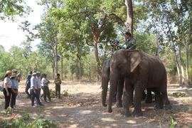 Đắk Lắk: Đón hơn 86.000 lượt du khách dịp Lễ 30/4 - 01/5