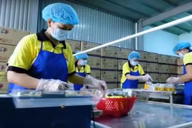 Vốn đầu tư từ Trung Quốc vào Việt Nam tăng đột biến