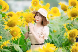 Hot girl Gia Lai khoe sắc bên đồi hoa Mặt Trời đẹp như tranh vẽ