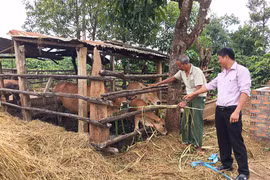 Hỗ trợ chuồng trại để hoàn thành tiêu chí môi trường