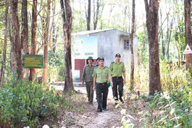 Những người gác rừng hương