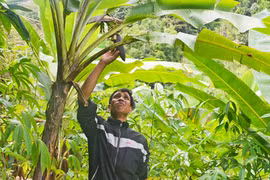 Ngành Khoa học và Công nghệ tỉnh Gia Lai: Đổi mới, sáng tạo