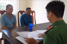 Khởi tố, bắt giam 2 đối tượng chặt phá gần 100 m3 gỗ quý hiếm