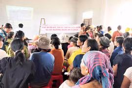 Chư Sê: 75 hộ dân gieo trồng giống lúa thuần Đài Thơm 8