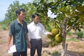 Học Bác để sản xuất kinh doanh giỏi